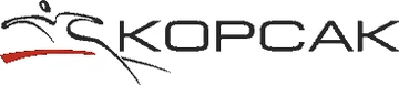 Логотип Корсак