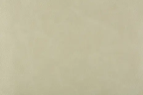 Bizon цвет 10