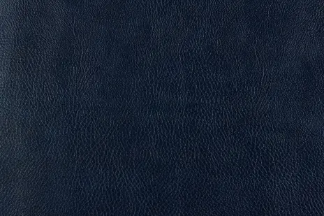 Bizon цвет 5