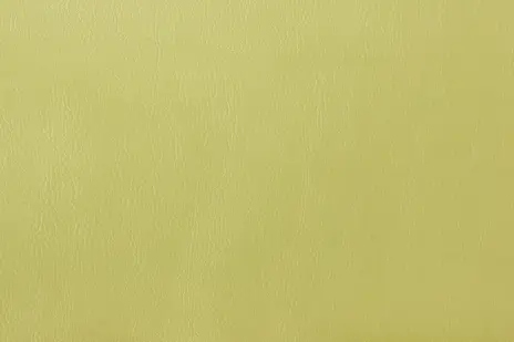 Mango цвет 3823