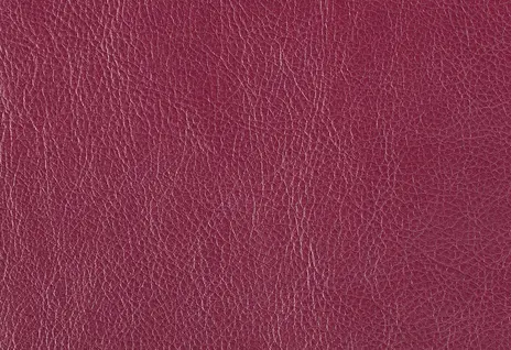 Mango цвет 8840