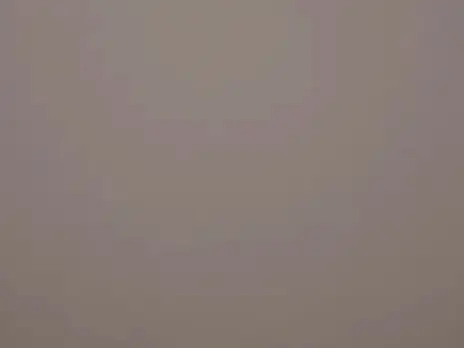 Rich цвет 19