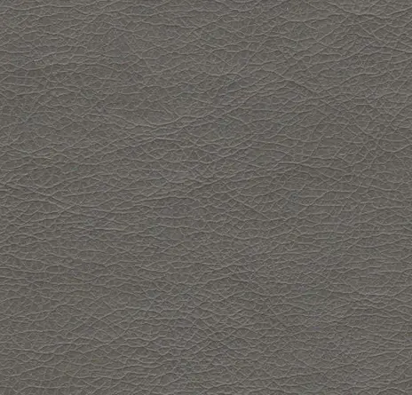 Stainless цвет 646