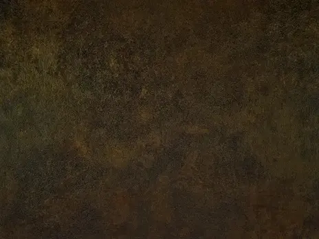 Bugatti цвет 4