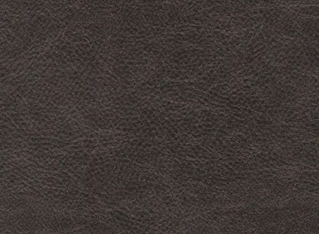 Western цвет 6