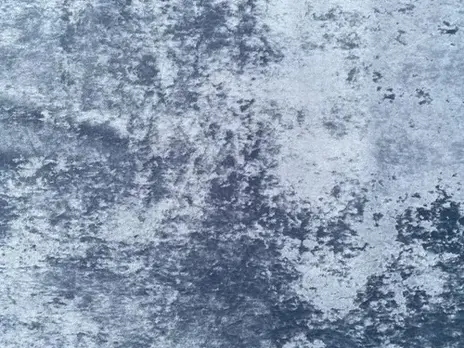 Elisse цвет 018