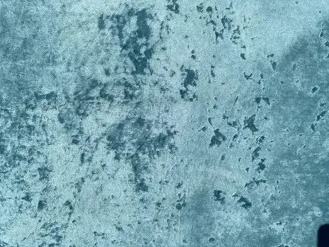 Elisse цвет 023