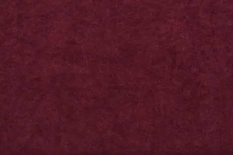 Etro 62 бордо