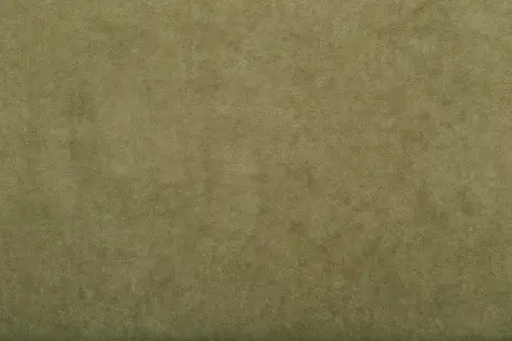 Etro 67 травяной