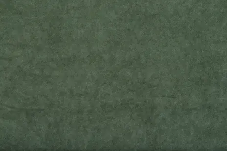 Etro 68 лесной зелёный