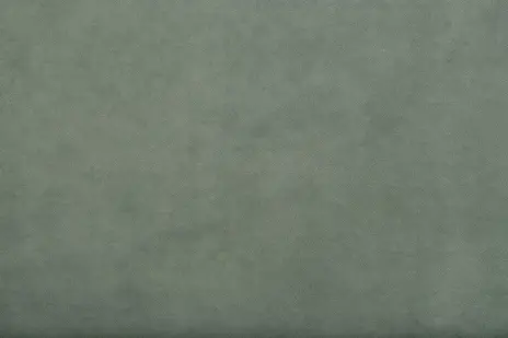 Moss 6 шалфей