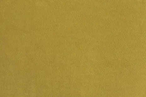 Parma 1017 мимоза