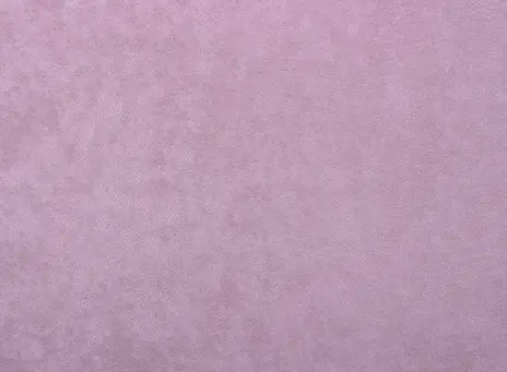 Phlox цвет 10