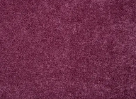 Phlox цвет 11