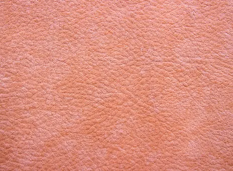Phlox цвет 8