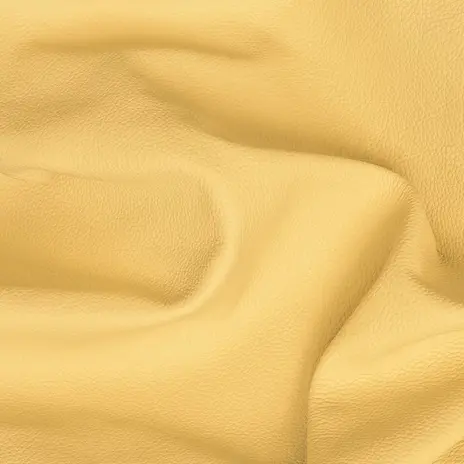 X5 Leather цвет 811