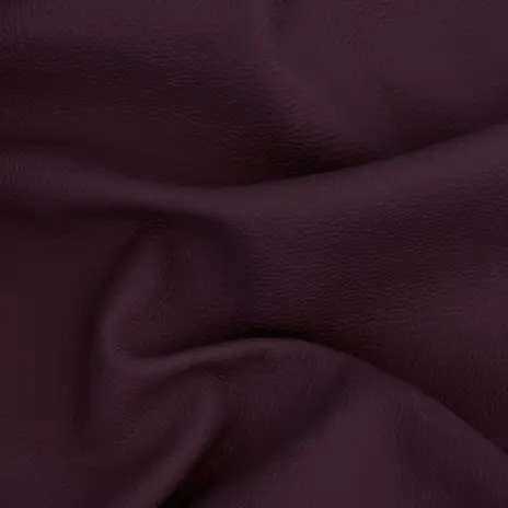 X5 Leather цвет 842