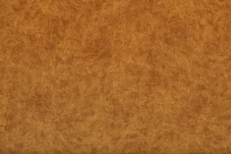 Camel 12 медовый