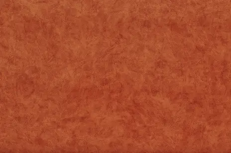 Camel 27 лисий