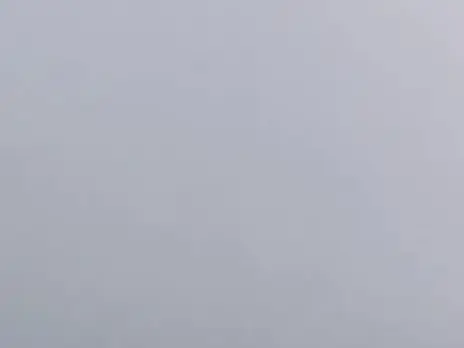 Ember цвет 21