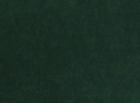 Nessi 11 джунгли