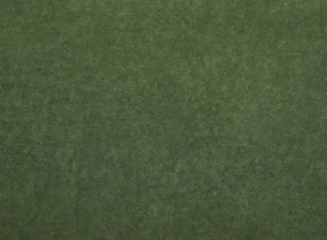 Omega цвет 37