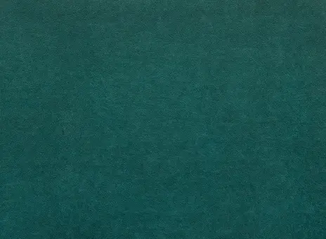 Omega цвет 43
