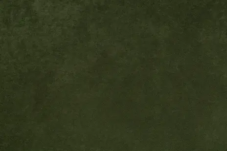 Satoru 07 лесной зелёный